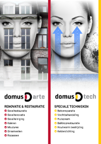 DOMUS TEAM